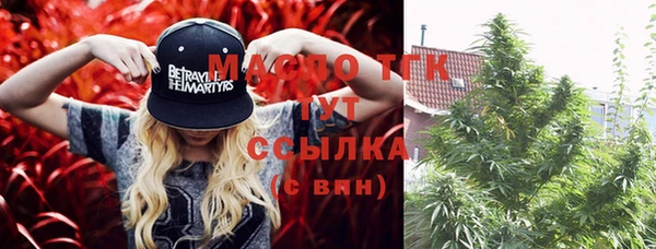 сатива Белокуриха